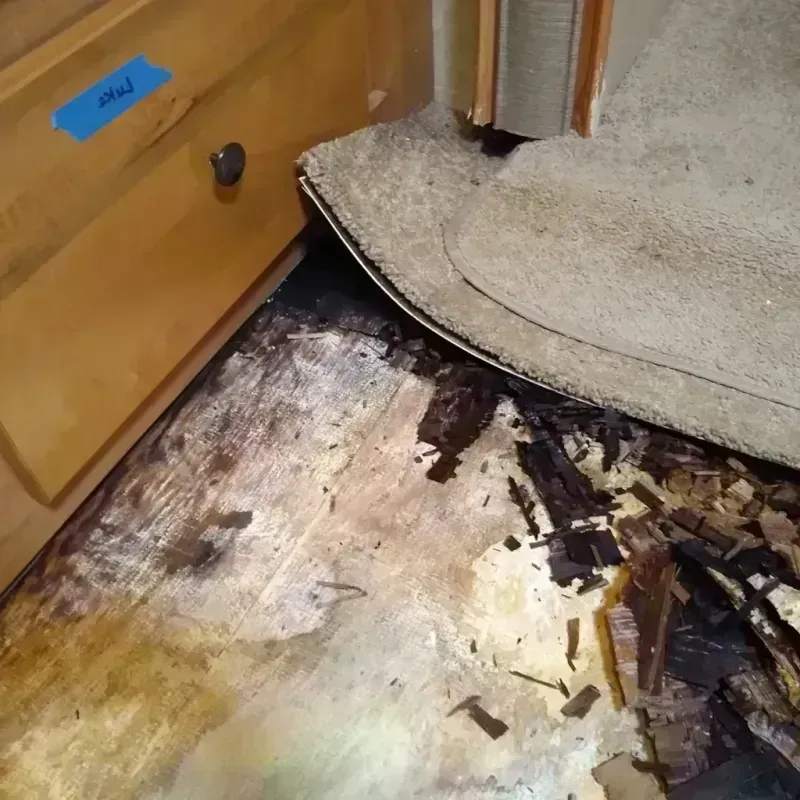 Wood Floor Water Damage in Burlington, OH